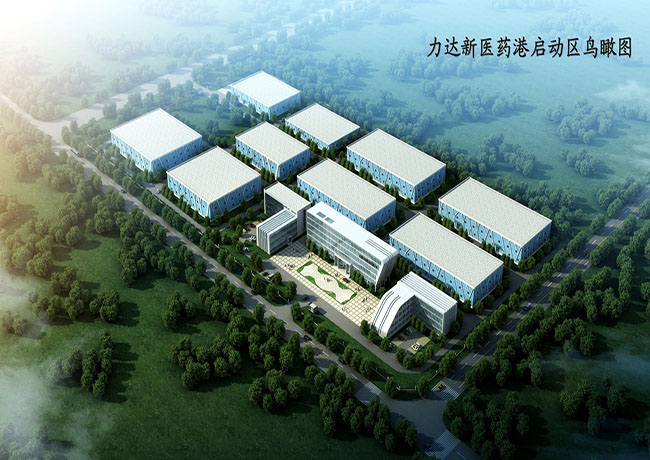 東營力達新醫藥啟動區項目